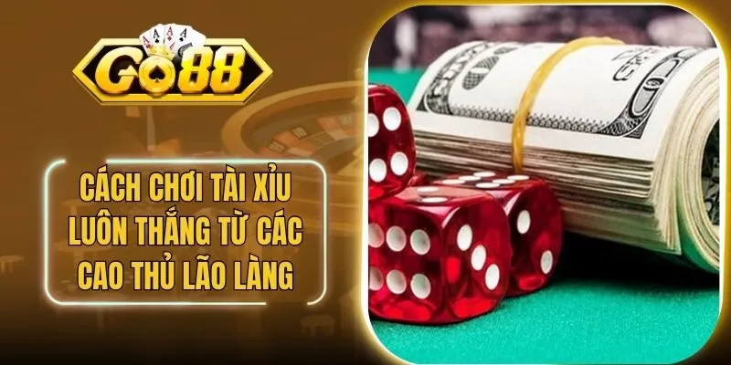 Cách Chơi Tài Xỉu Luôn Thắng Từ Các Cao Thủ Lão Làng